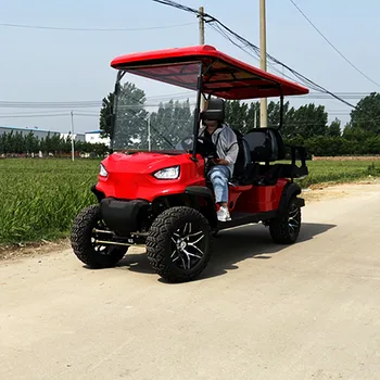4-местный гольф-кар с литиевой батареей, самокат для взрослых 48 В 60 В 4000 Вт, 2 + 2-местный электрический гольф-кар